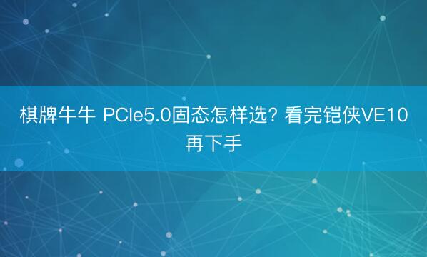 棋牌牛牛 PCIe5.0固态怎样选? 看完铠侠VE10再下手